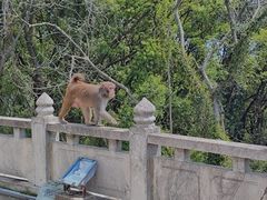 -苏州上方山国家森林公园