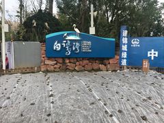 -白鹭湾湿地公园