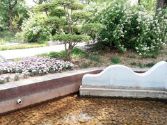 -武清南湖绿博园