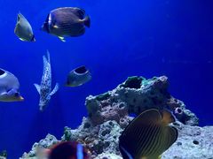 -海合安武汉极地海洋公园