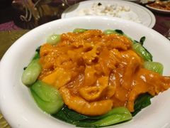 扒鱼肚-燕春楼(海河华鼎店)