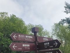 -洋湖国家湿地公园