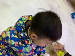 -Mr·Kuma酷么先生雪之乐园