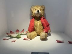 -成都泰迪熊博物馆