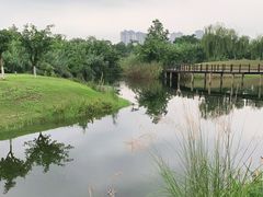 -眉山湿地公园(东坡区)