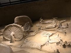 -洛阳周王城天子驾六博物馆