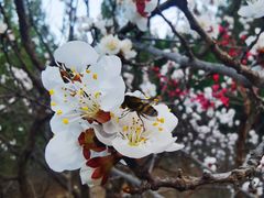-青州市云门山风景区