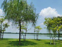 -象湖生态湿地公园