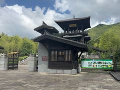 -大唐贡茶院