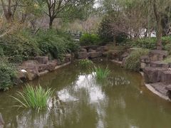 -范蠡湖公园