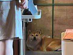 -About Bistro關於·泰式家庭料理