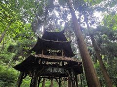 -青城山