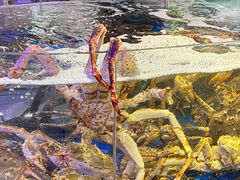 -蟹之国·精品蟹料理(极地店)