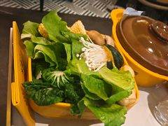 -润园四季椰子鸡火锅(南山海岸城店)