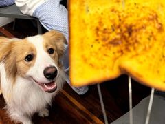 -顺德·古草食记(长寿店)