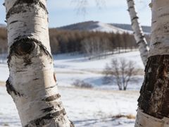 -塞罕坝国家级自然保护区