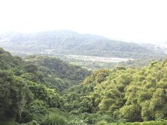 -广州市帽峰山景区