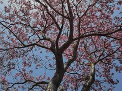 -厦门国家会计学院