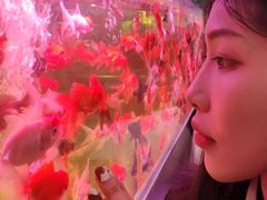 -苏州艺都古玩花鸟市场