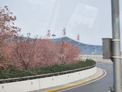 -石家庄正定国际机场-T2航站楼