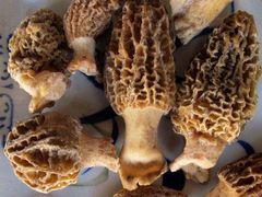 -滇釜火锅·能喝汤的火锅(车公庄店)