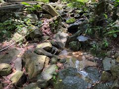 -火炉山森林公园