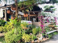 -Ohkajhu Organic Farm Sansai