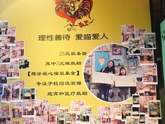 -猫咪博物馆(顶澳仔猫街店)