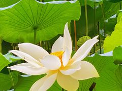 -北京动物园-畅观楼