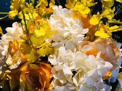 -黑桃K生日订制KTV