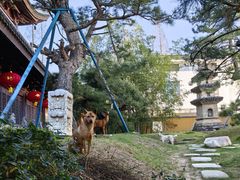 -龙华寺