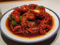 -杨氏青龙虾·羊蝎子(托乐嘉店)