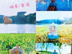 -上海佘山世茂艾美酒店