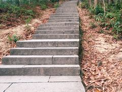 -梧桐山风景名胜区