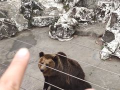 -成都动物园