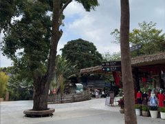 -海南槟榔谷黎苗文化旅游区
