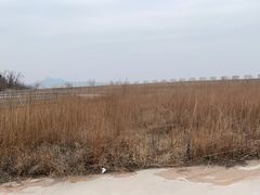 -樱花山风景区