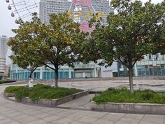 -星城之眼摩天轮