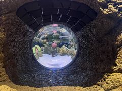 -暹罗海洋世界