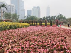 -万绿园