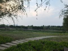 -永定河休闲森林公园