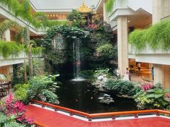 -广州白天鹅宾馆