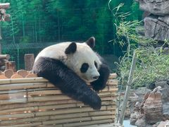 -大青山野生动物园