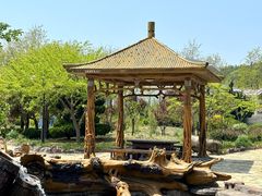 -大连蚂蚁岛度假区
