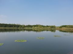 -溱湖国家湿地公园