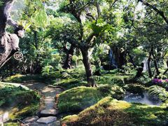 -Chom Cafe and Restaurant