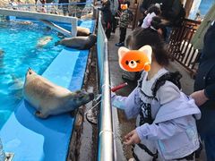 -泉城欧乐堡海洋极地世界