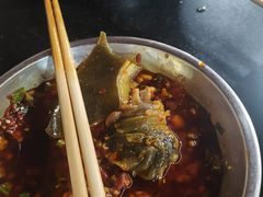 -老杨砂锅鱼庄