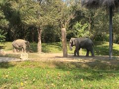 -北京野生动物园