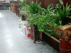 -菌之家·专业纯野生菌火锅·特色炒菌